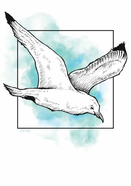 Kittiwake 10” x 8”