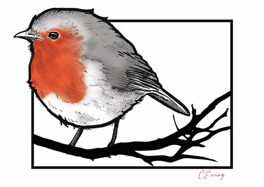 Robin A4 mounted print