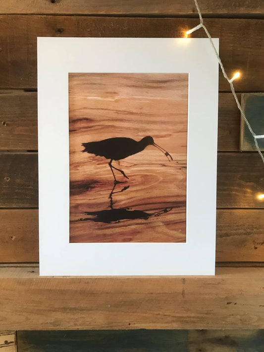 NEW-curlew A4 mounted print