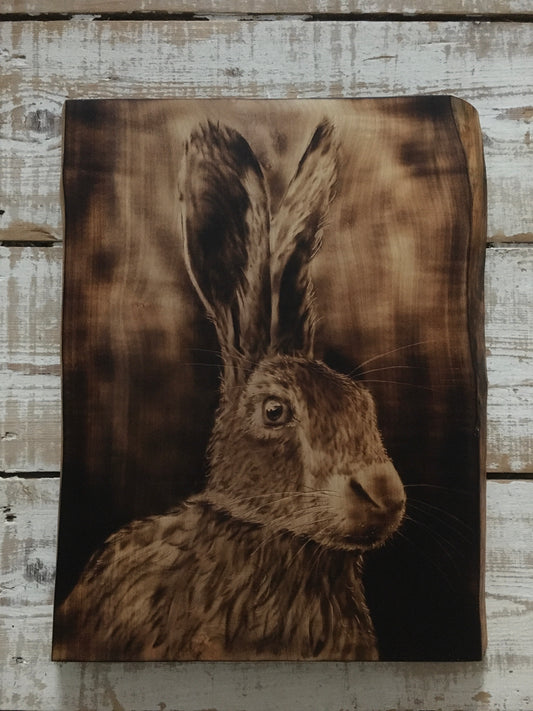 Dark Hare wall decor