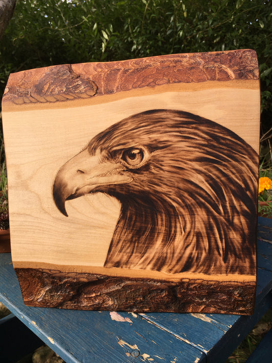 Bird of prey wall decor