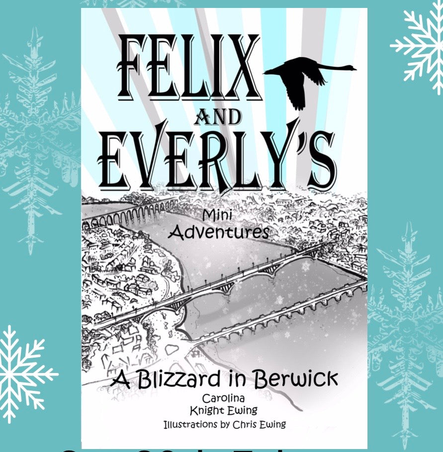 Book 6-A Blizzard in Berwick