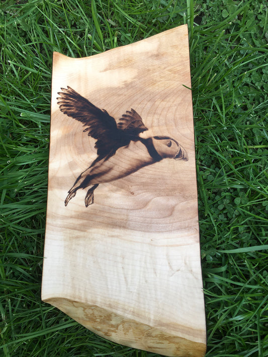 Flying puffin wall decor