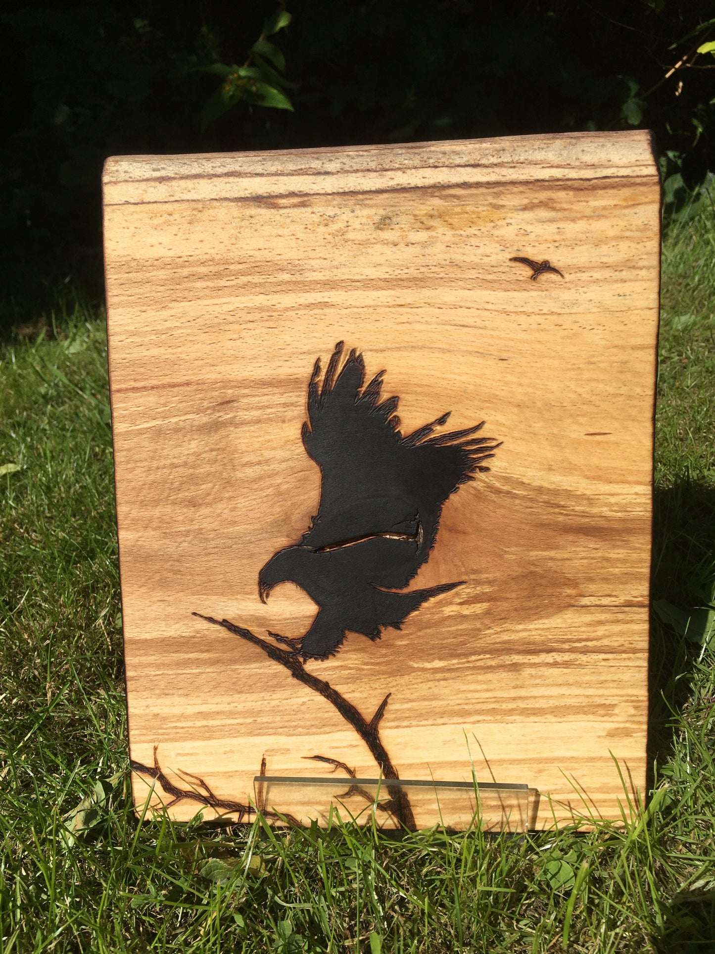 Bird of prey wall decor