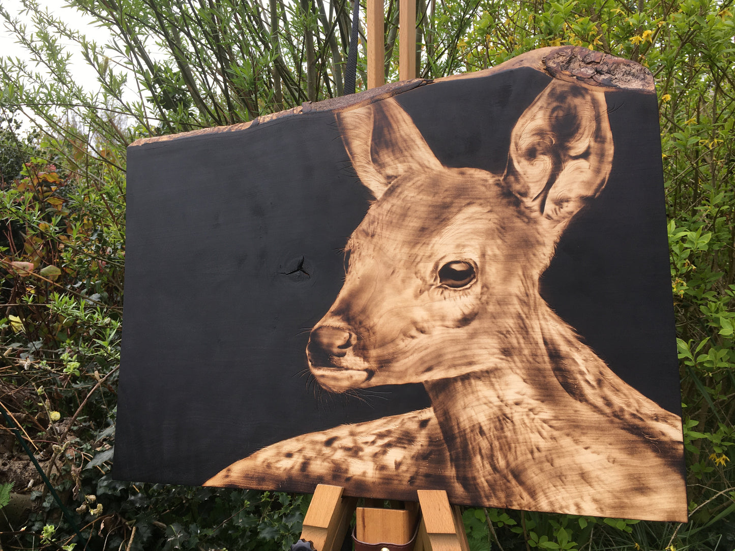 Doe wall decor- one off