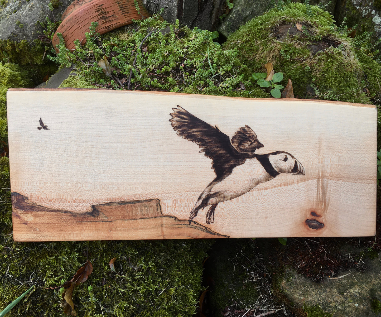 Flying puffin wall decor