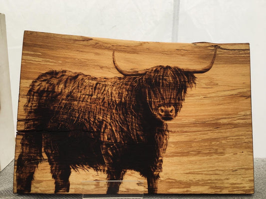 Highland cow wall decor