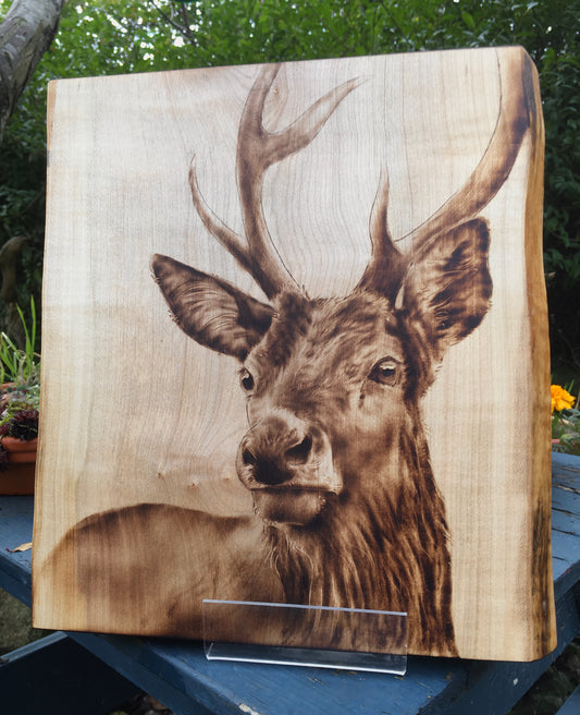 stag wall decor