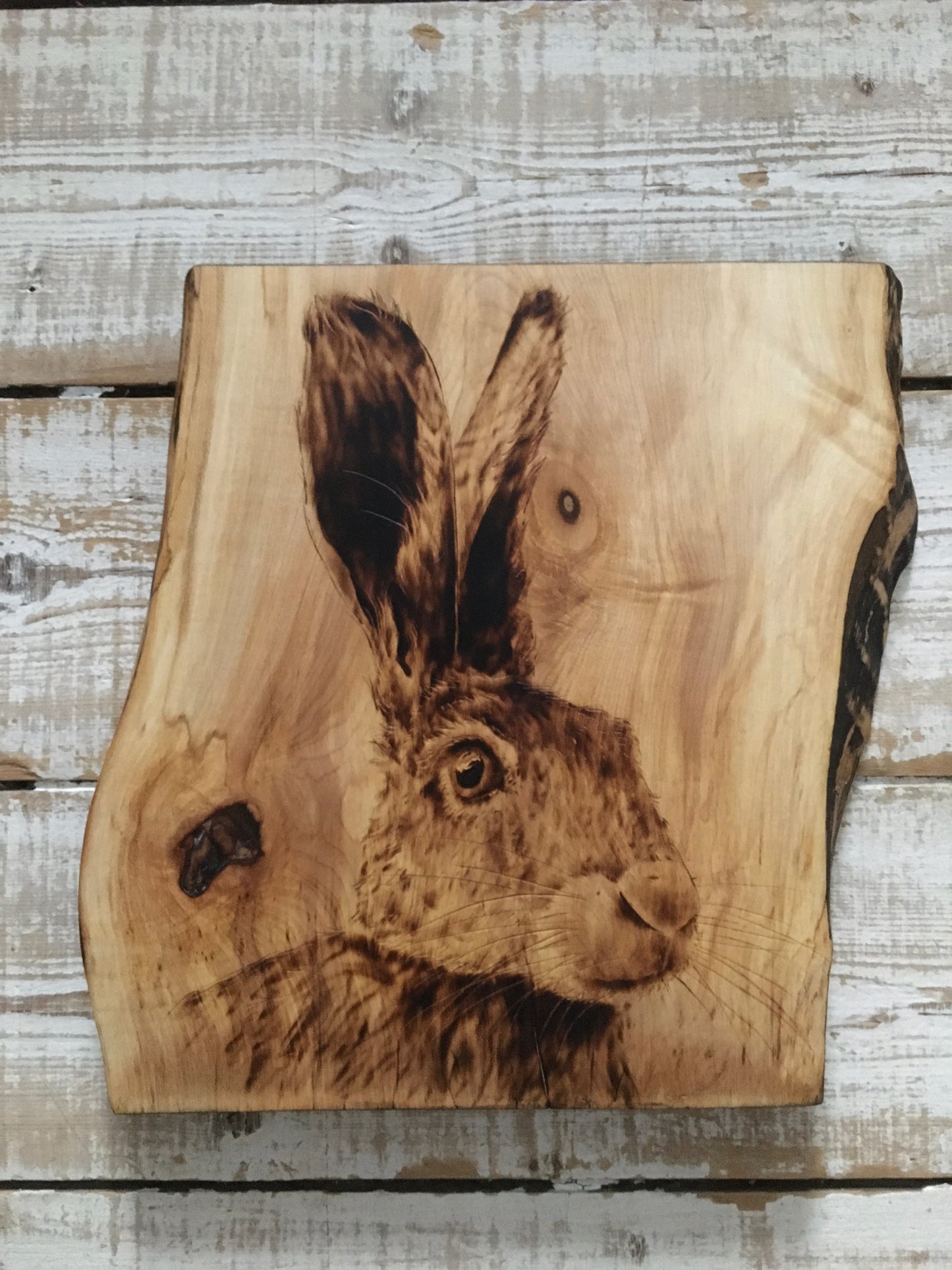 Hare wall decor