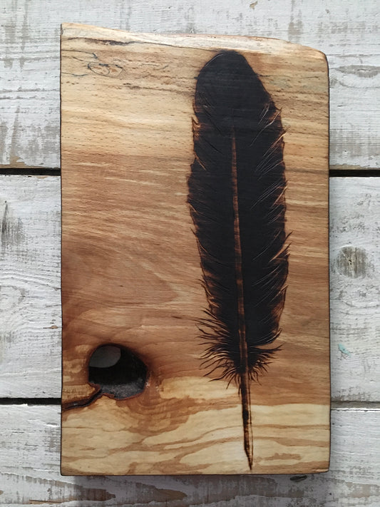 Feather wall decor