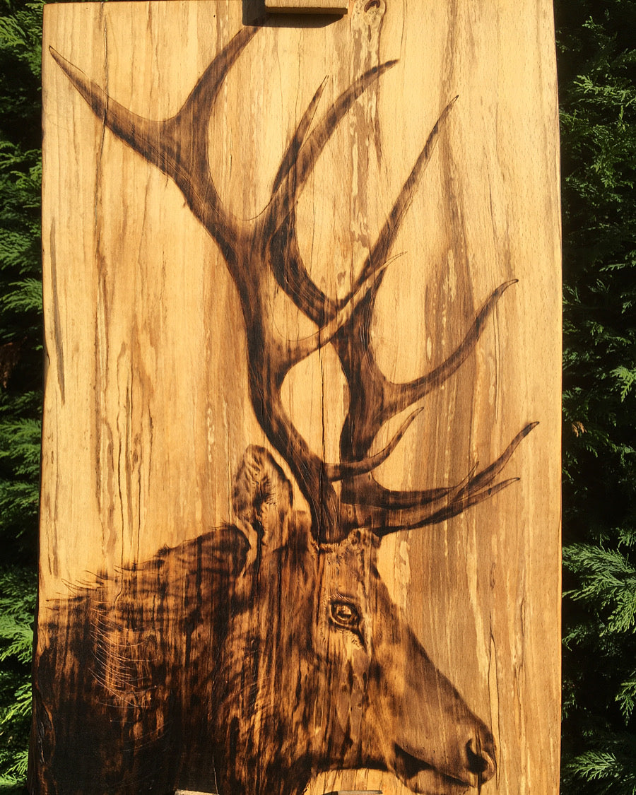 Stag wall decor